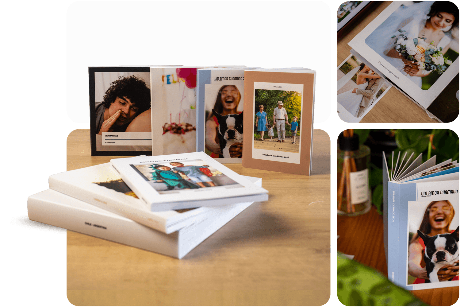 Fotolivros da Phosfato